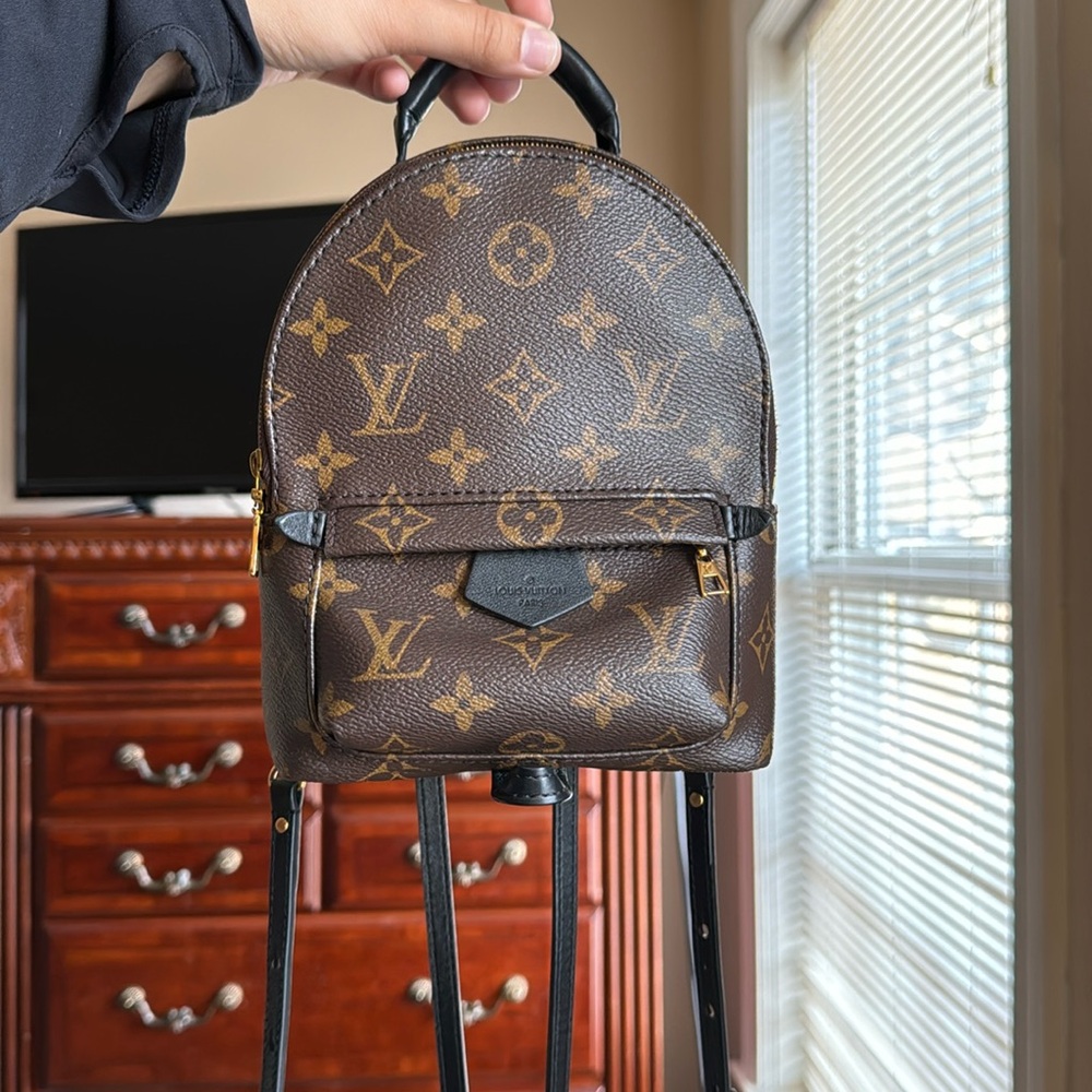 AUTHENTIC Louis Vuitton Palm Springs Mini